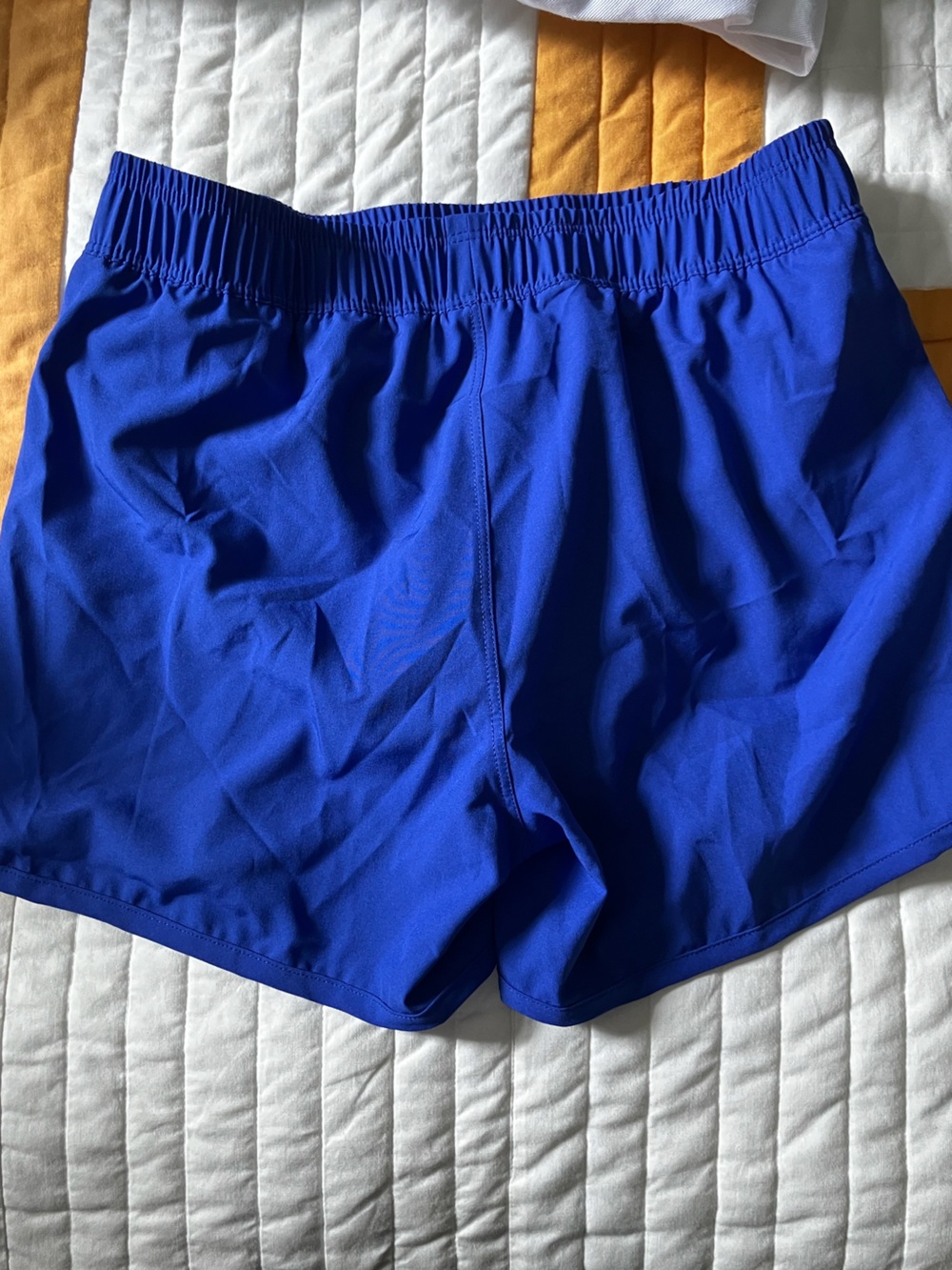 Lands' End Royal Blue Swim Shorts